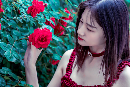 第一届“一带一路”华侨华人合作发展大会在重庆开幕